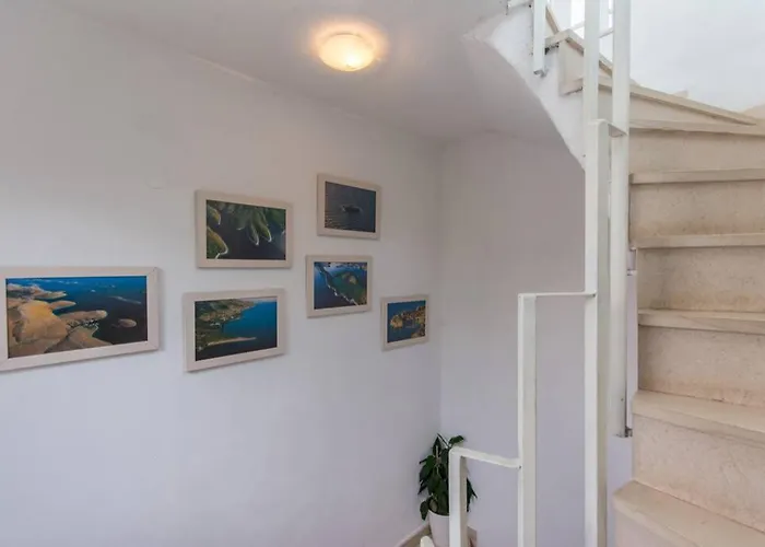 Flora Three Bedroom Near Apartment *