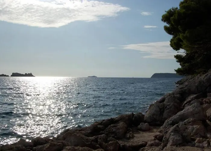 Flora Three Bedroom Near Apartamento